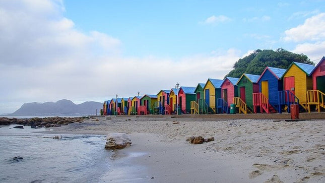 Robben Island and Cape Point Private Tour