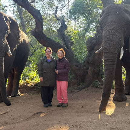 Elephant Sanctuary Tour from Johannesburg