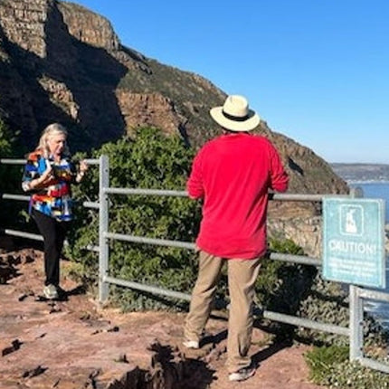 Cape Point & Boulders Beach Private Tour with Penguin Encounter