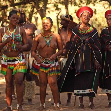 Private Guided Cultural Day Tour of Zulu Village & PheZulu Safari Park