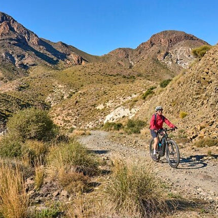 E-Bike Cape Peninsula Full Day Tour in Cape Town
