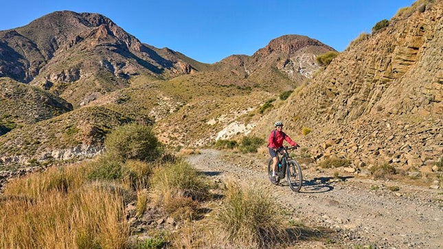 E-Bike Cape Peninsula Full Day Tour in Cape Town