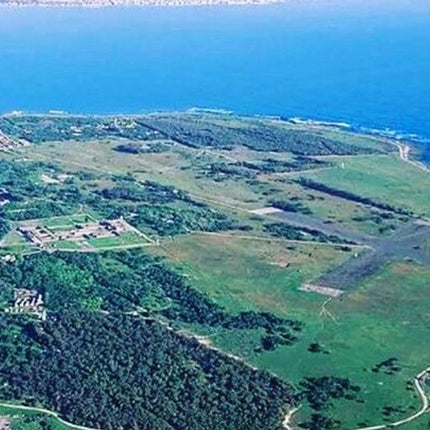 Robben Island Museum Half-Day Tour. Including all tickets.