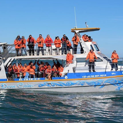Whale Watching in Hermanus: Must-Do Activity in Cape Town, SA