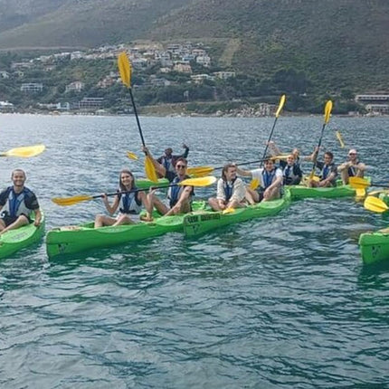 Kayak in Hout Bay