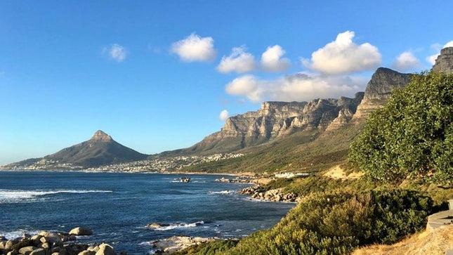 Combo Tour: Marine Wildlife Cruise and Cape Point PM