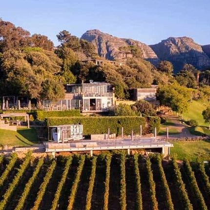Full Day Constantia Wine Tasting and Table Mountain