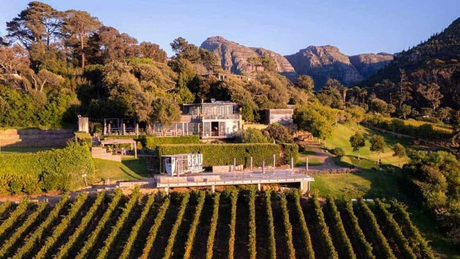 Full Day Constantia Wine Tasting and Table Mountain