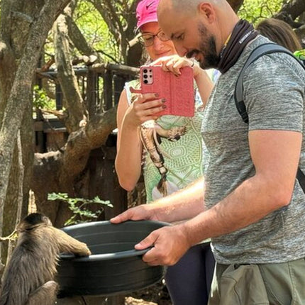 Elephant & Monkey Sanctuary Tour from Johannesburg