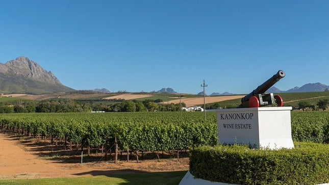 Private Cape Town Wine Tasting with Vineyards and Scenic Views