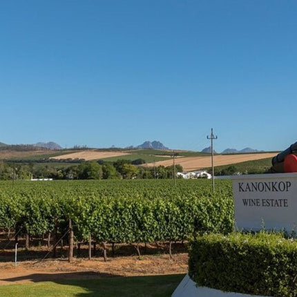 Private Cape Town Wine Tasting with Vineyards and Scenic Views