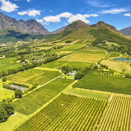 Full Day Cape Winelands Tour