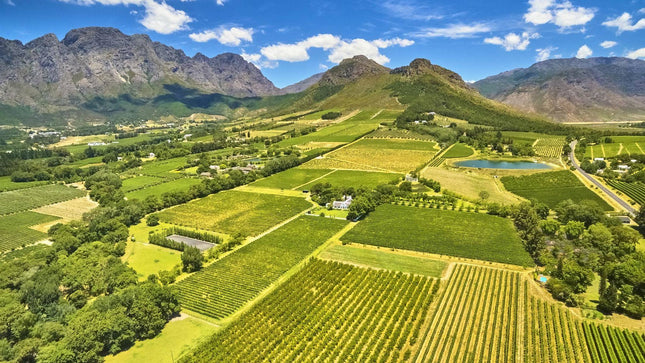 Full Day Cape Winelands Tour