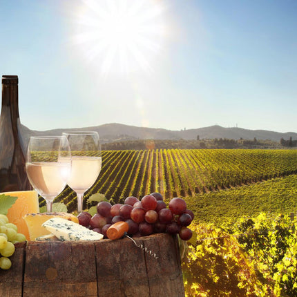 Full Day Cape Winelands Tour
