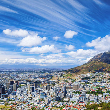 Full Day Cape Winelands Tour