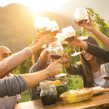 Full Day Cape Winelands Tour