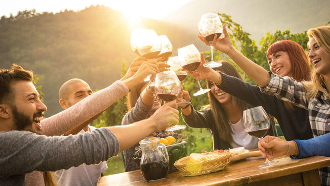 Full Day Cape Winelands Tour
