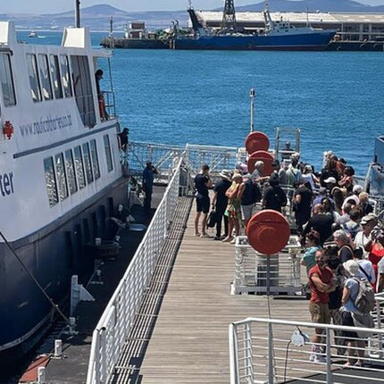 Robben Island Half Day Tour With Pre Booked Ticket from Cape Town