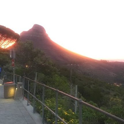 Cape Town and Cape of Good Hope Private Full-Day Tour