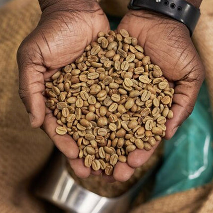 African Origin Coffee and Chocolate Walking Tour