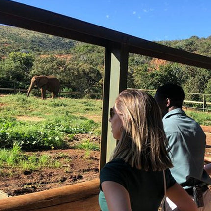 Elephant & Monkey Sanctuary Tour from Johannesburg
