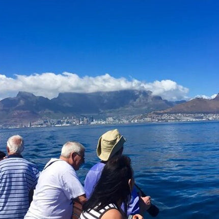 Robben Island Half Day Tour.