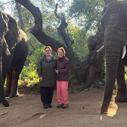 Elephant & Monkey Sanctuary Tour from Johannesburg