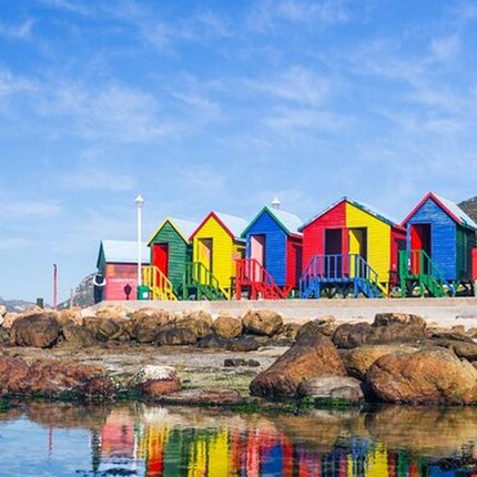 Robben Island and Cape Point Private Tour