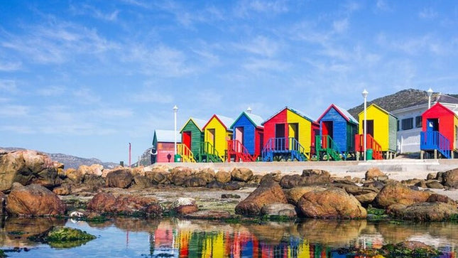Robben Island and Cape Point Private Tour