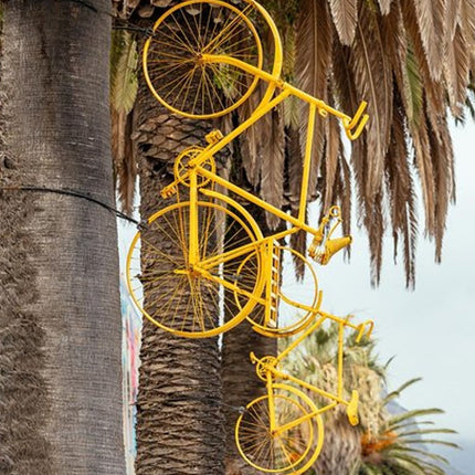 Cape Town Private City Tour: Off the Beaten Track with Local