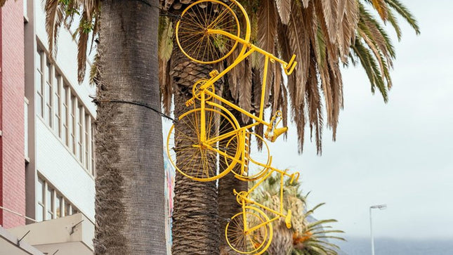 Cape Town Private City Tour: Off the Beaten Track with Local