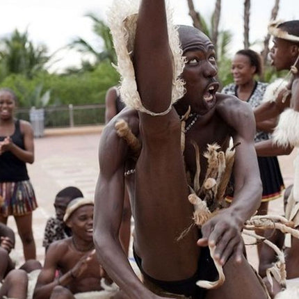 Private Guided Cultural Day Tour of Zulu Village & PheZulu Safari Park