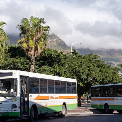 Private Cape Town City Tour