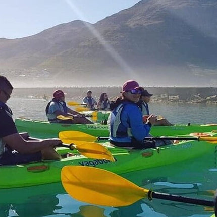 Kayak in Hout Bay