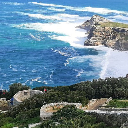 Table Mountain, Cape of Good Hope, Penguins and Sightseeing tour