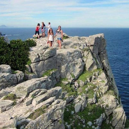 Cape Point & Cape Peninsula Day Tour from Cape Town