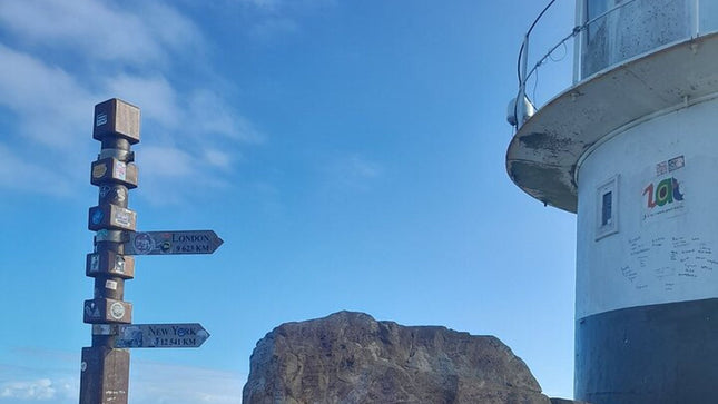Cape of Good Hope Tour by Bus