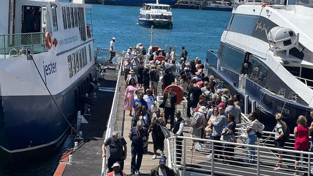Robben Island Half Day Tour With Pre Booked Ticket from Cape Town