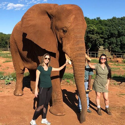 Elephant & Monkey Sanctuary Tour from Johannesburg