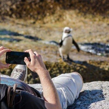 Private Tour to Robben Island and Cape Point in Cape Town