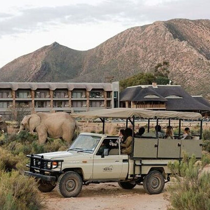Cape Town Inverdoorn Game Reserve Tour