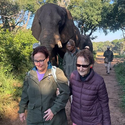 Elephant & Monkey Sanctuary Tour from Johannesburg