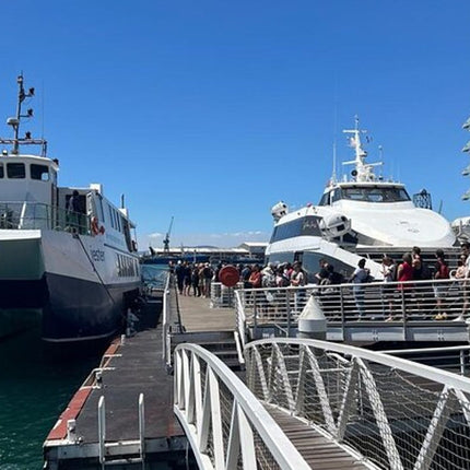 Robben Island Half Day Tour With Pre Booked Ticket from Cape Town