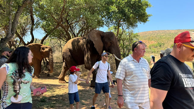 Elephant Sanctuary Tour from Johannesburg