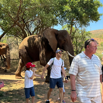 Elephant Sanctuary Tour from Johannesburg