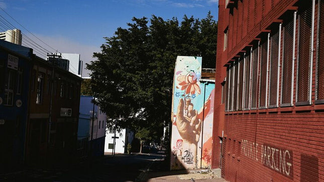 Cape Town Photo Walk & City Tour