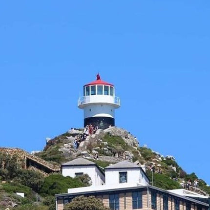 Full day Cape Peninsula Tour