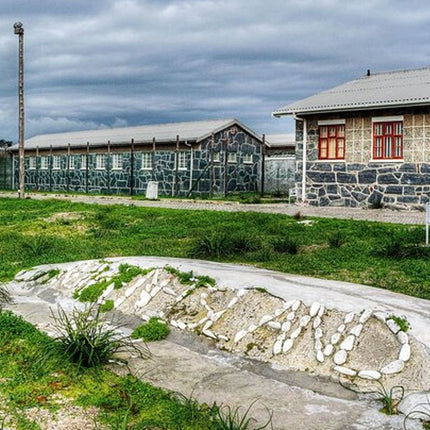 Table Mountain and Robben Island Pre Booked Tickets