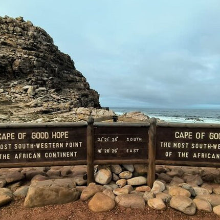 Boulders Penguins in Cape Town full day tour
