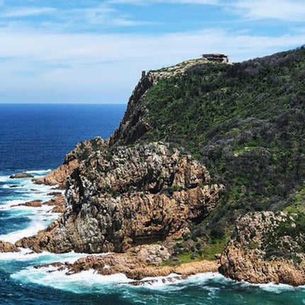 One-Way Hop-on Hop-off Bus from Cape Town to Port Elizabeth